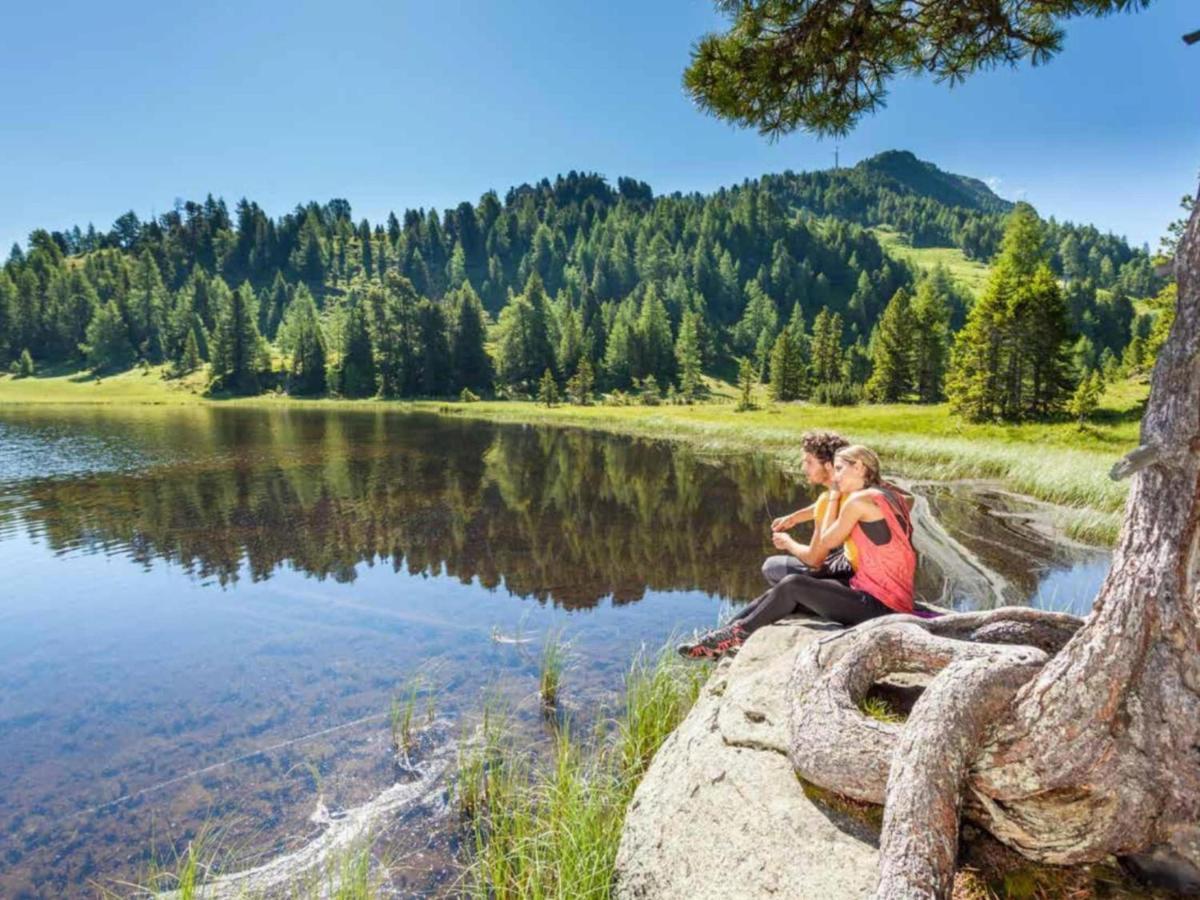 Mountain Chalet Krek Wak Wou Sankt Lorenzen ob Murau Buitenkant foto